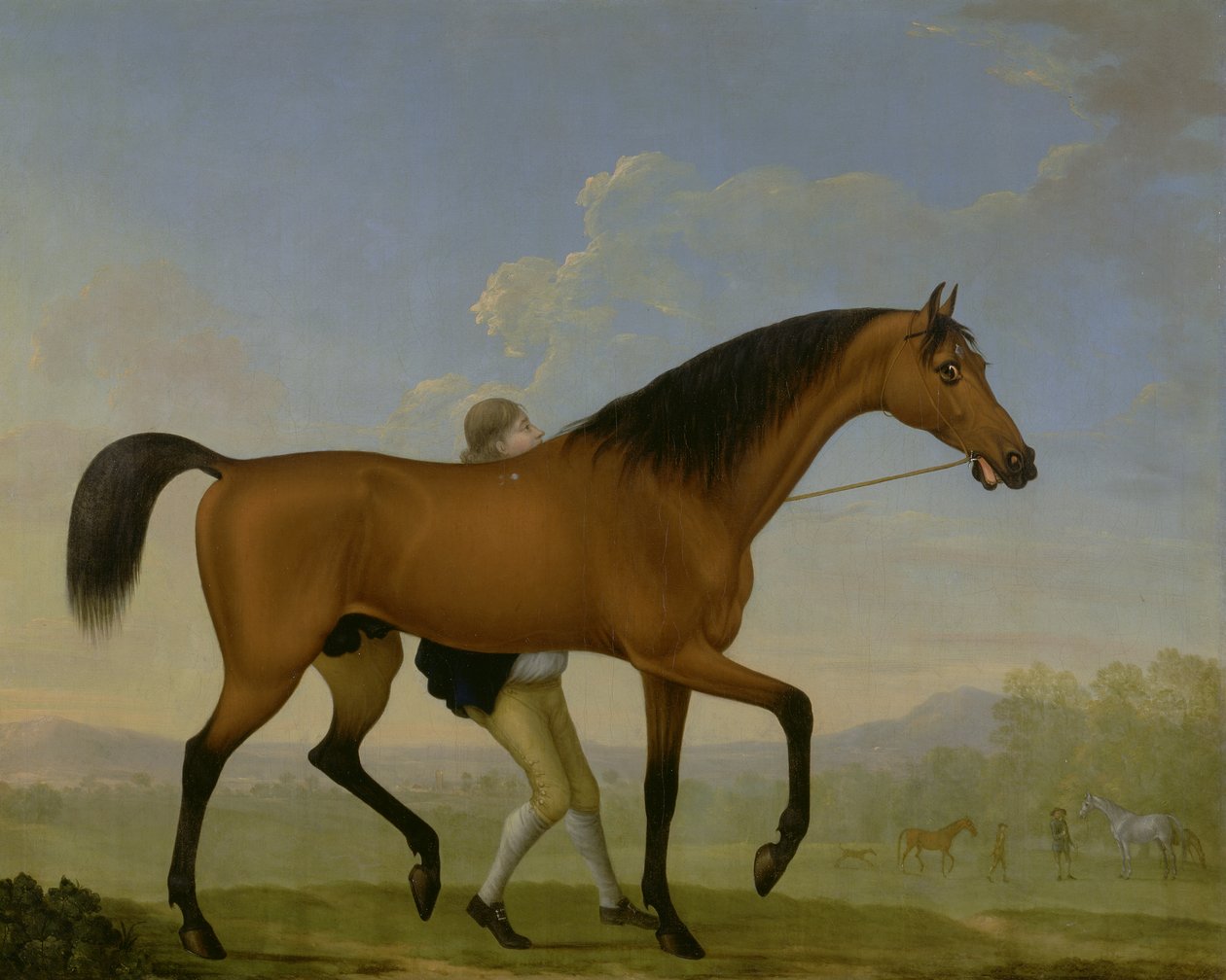 Książę Ancasters Bay Stallion, Blank, idzie w kierunku Mare autorstwa William Shaw