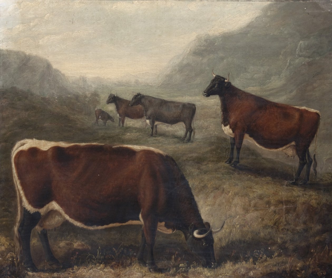  autorstwa William Shiels