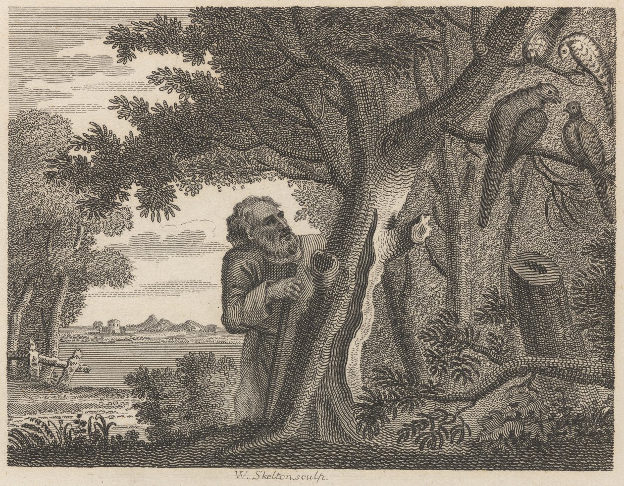 Filozof i bażanty autorstwa William Skelton