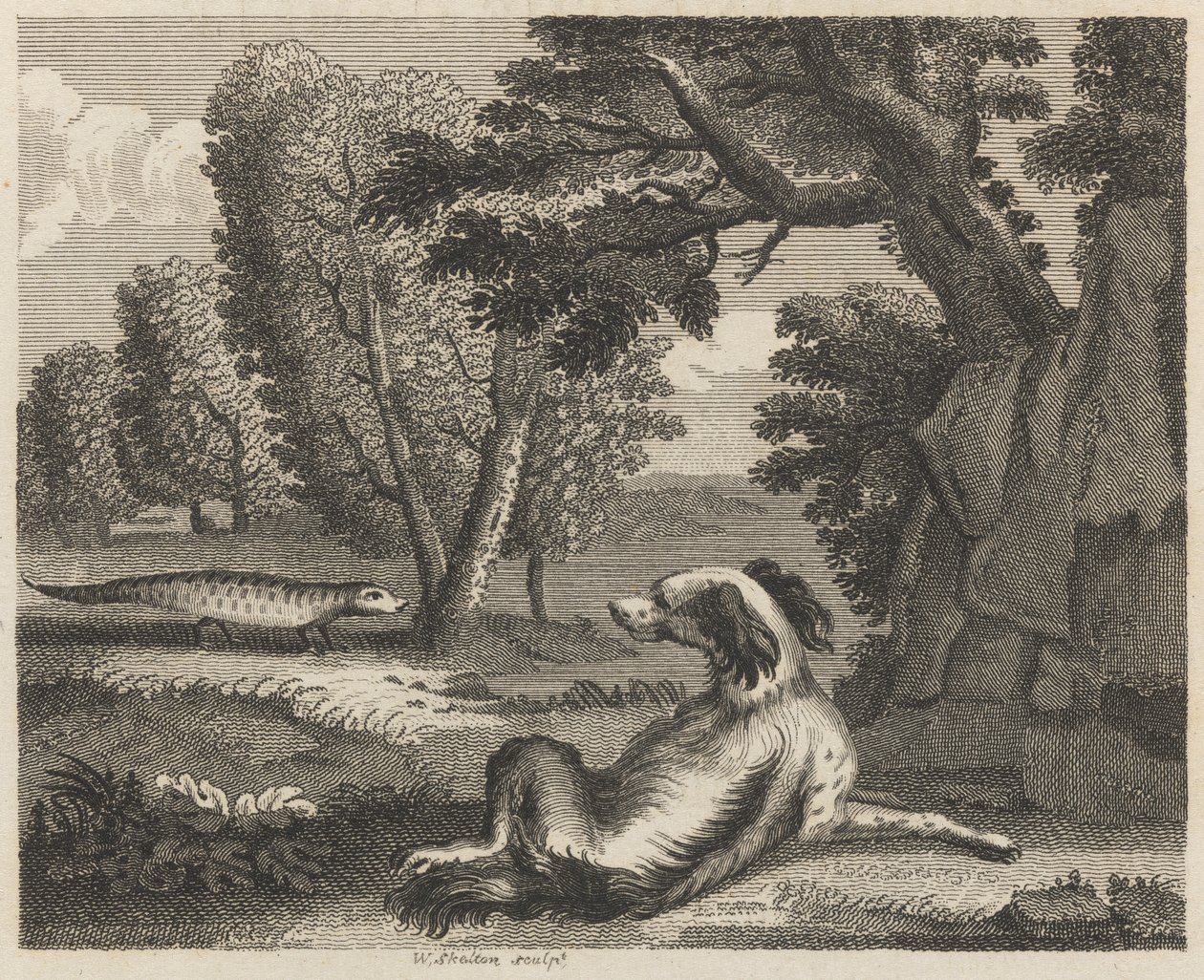 Spaniel i kameleon autorstwa William Skelton