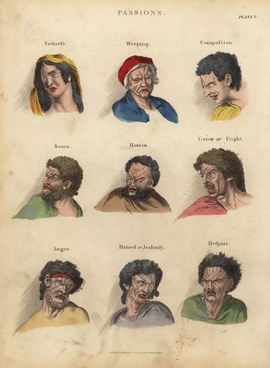 Pasje z fizjonomii autorstwa William Smellie