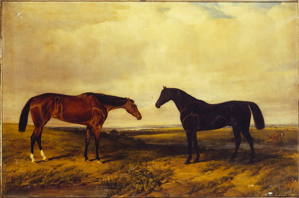 Jasnogniada klaczka i ciemnogniady ogier hrabiego Granarda, 1885 autorstwa William Snr. Luker