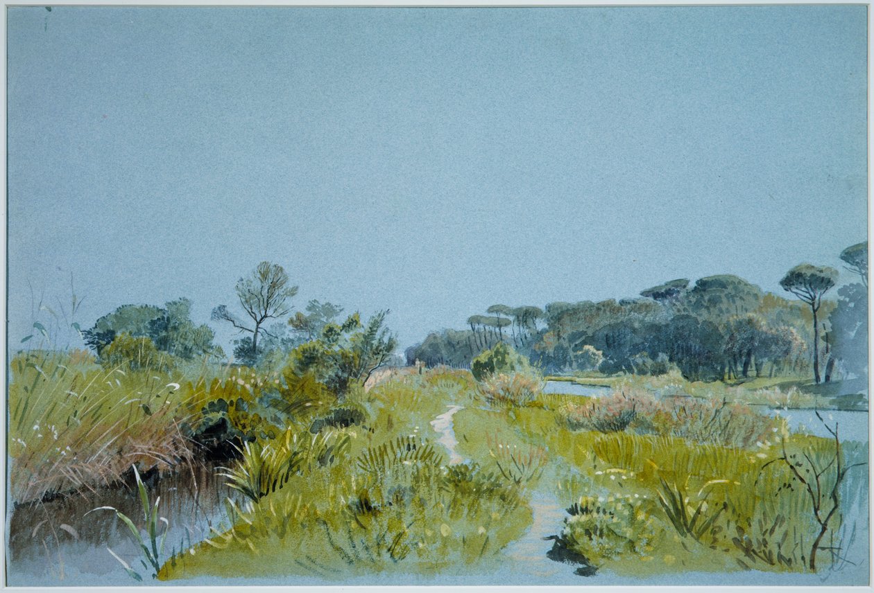 Castel Fusano - w pobliżu Rzymu autorstwa William Stanley Haseltine