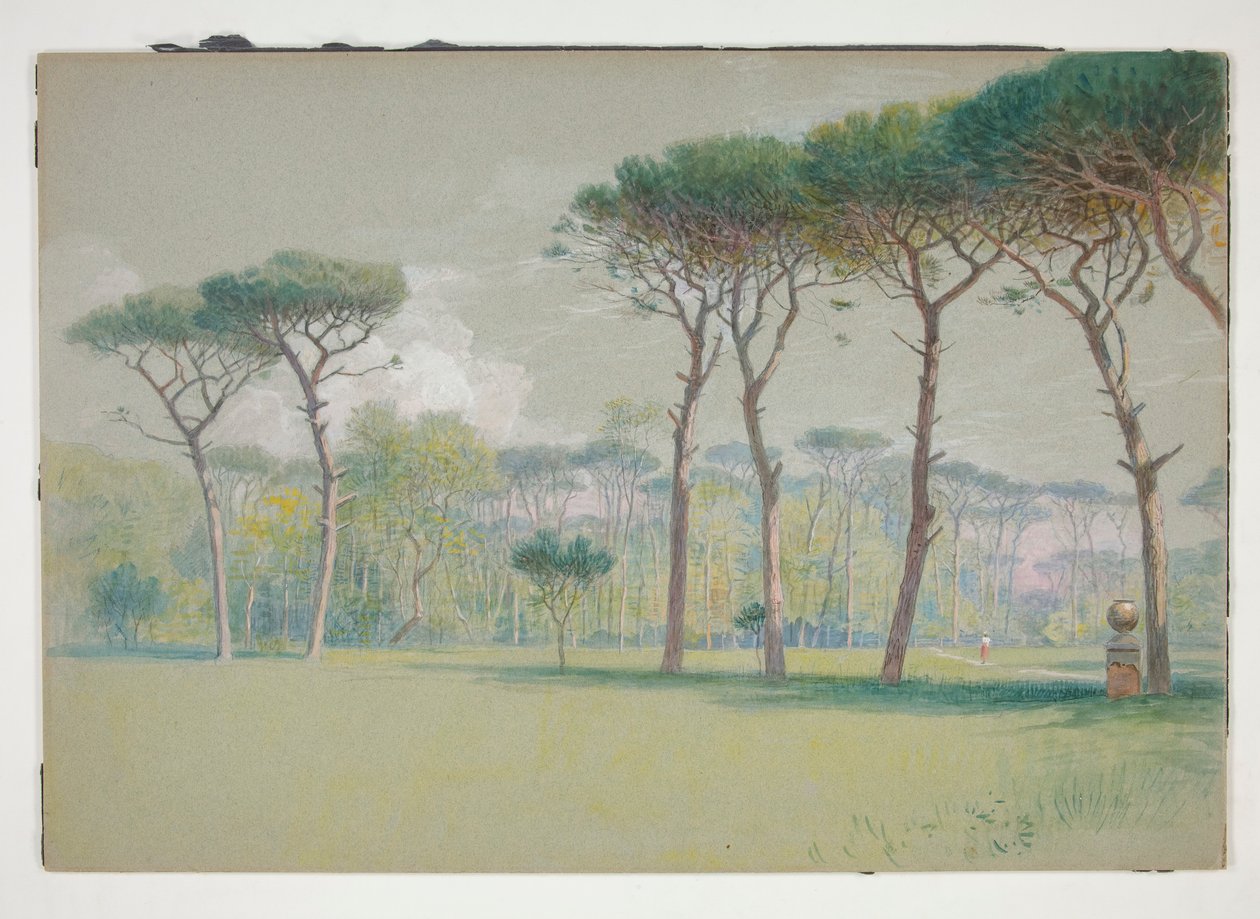 Castel Fusano: Krajobraz - rozległy trawnik i drzewa autorstwa William Stanley Haseltine