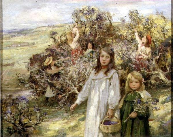 Zbieranie Jeżyny (olej na płótnie) autorstwa William Stewart MacGeorge