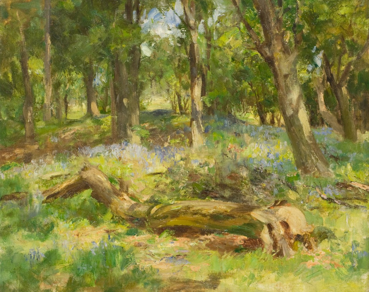 Scena leśna (olej na płótnie) autorstwa William Stewart MacGeorge