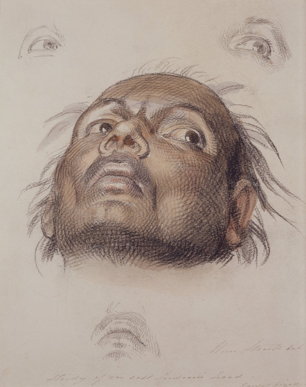 Studium głowy wschodniego Indianina, ok. 1875 (kredka i farba na papierze) autorstwa William Strutt