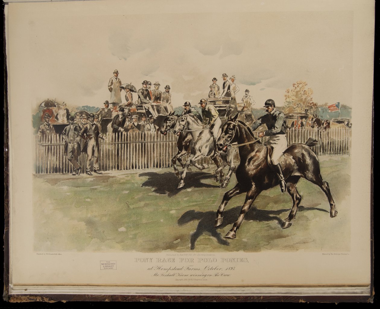 Wyścig kuców dla kuców polo autorstwa William Sullivant Vanderbilt Allen