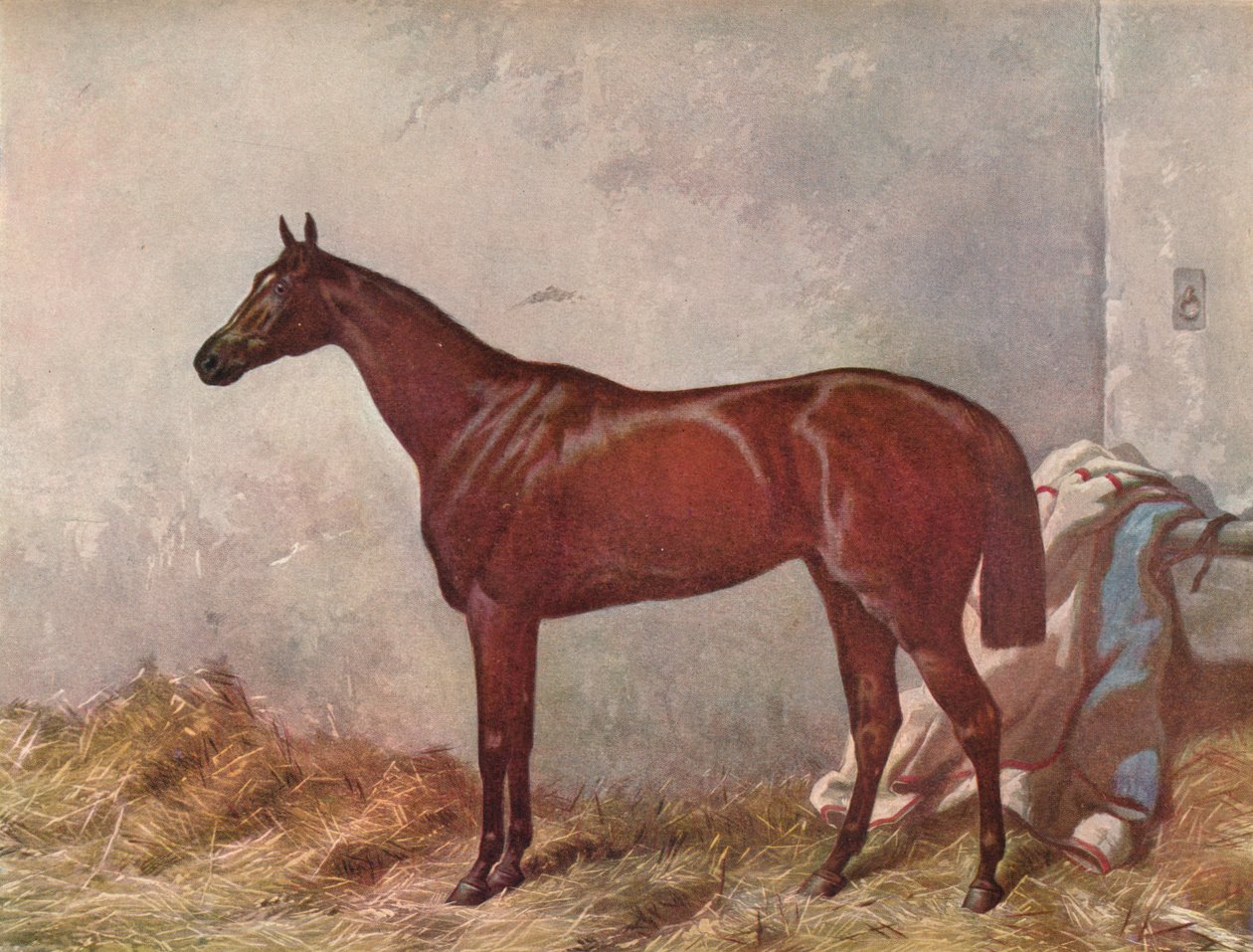Pustelnik: zwycięzca Derby Stakes w Epsom, 1867, 1903 autorstwa William Summers