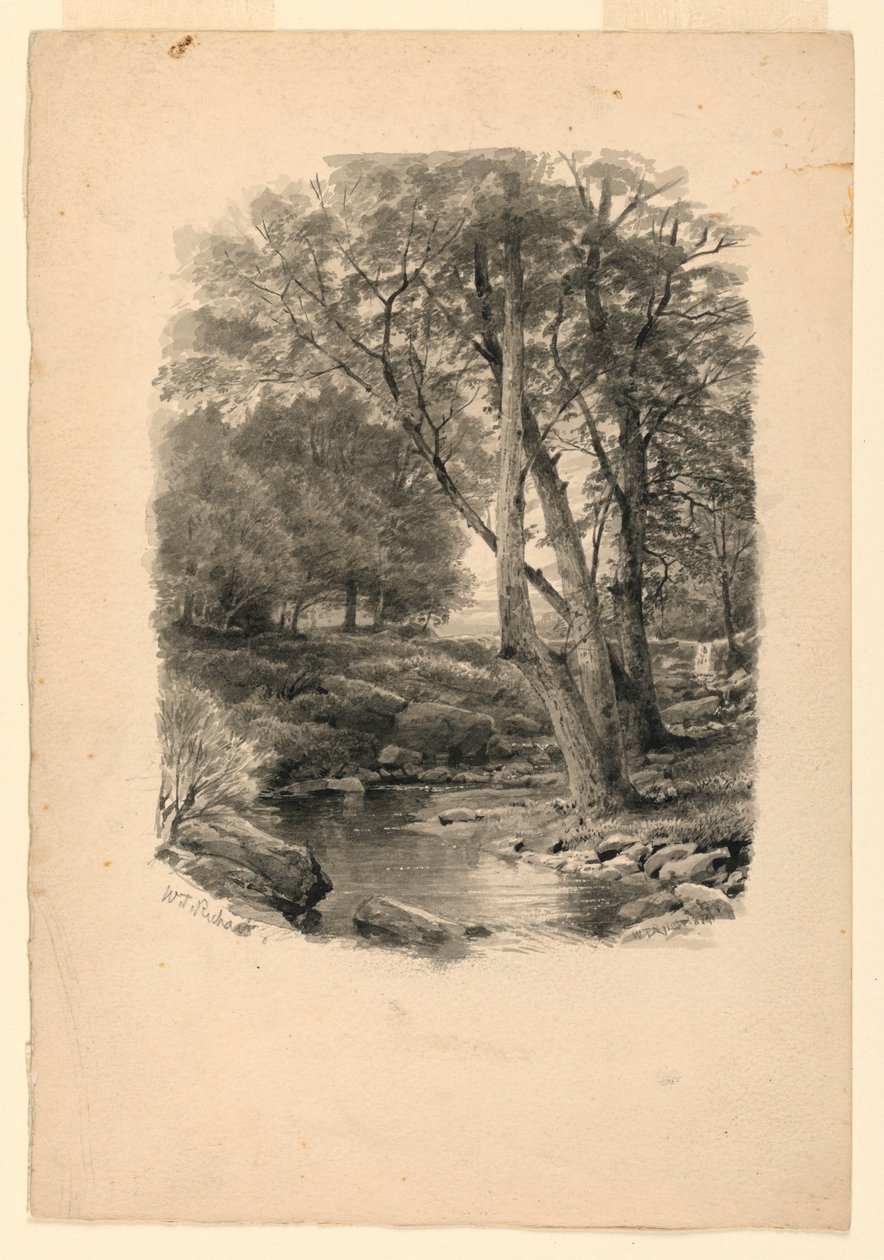 Rysunek, Basen w lesie, 1874 r. autorstwa William Trost Richards