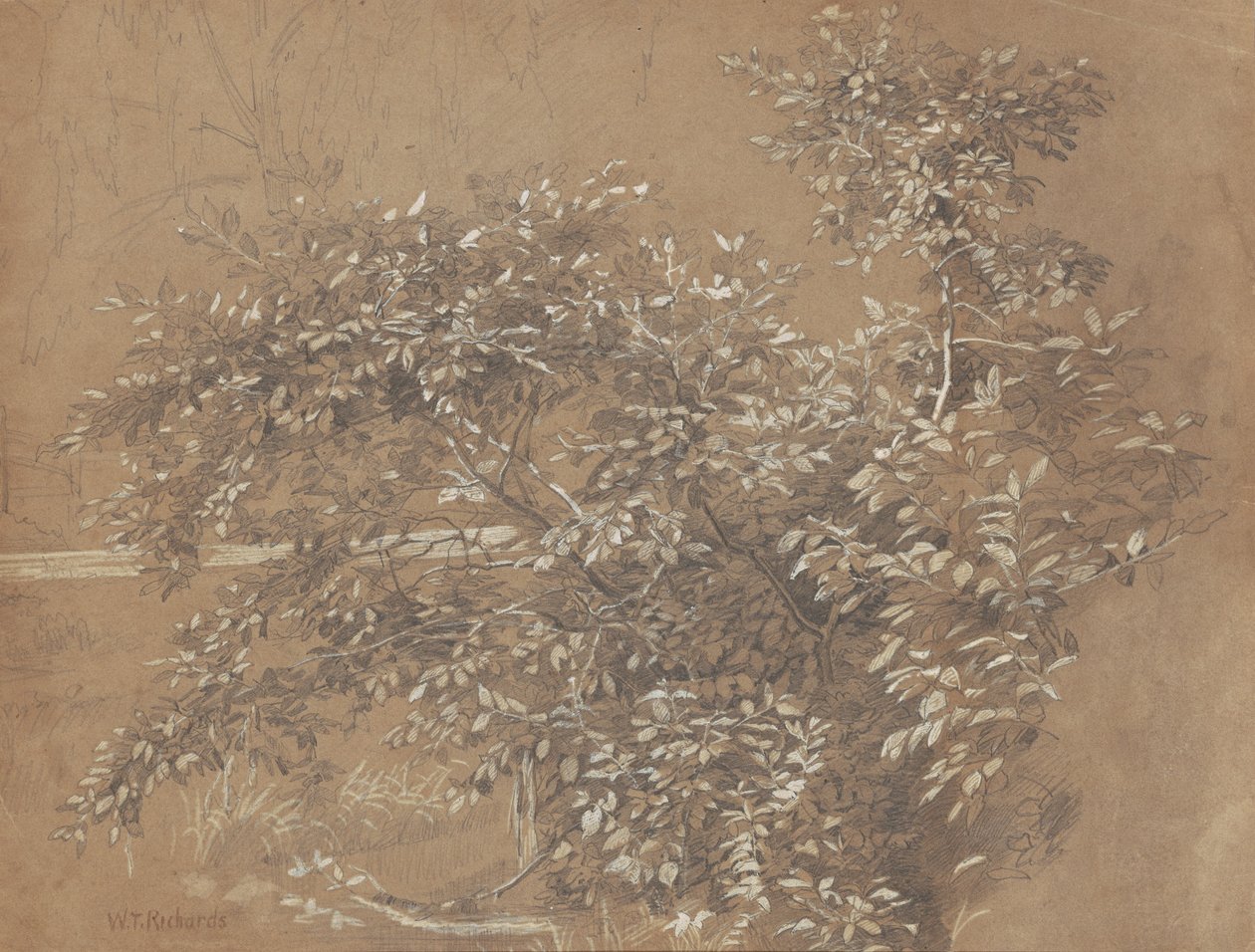 Listowie autorstwa William Trost Richards