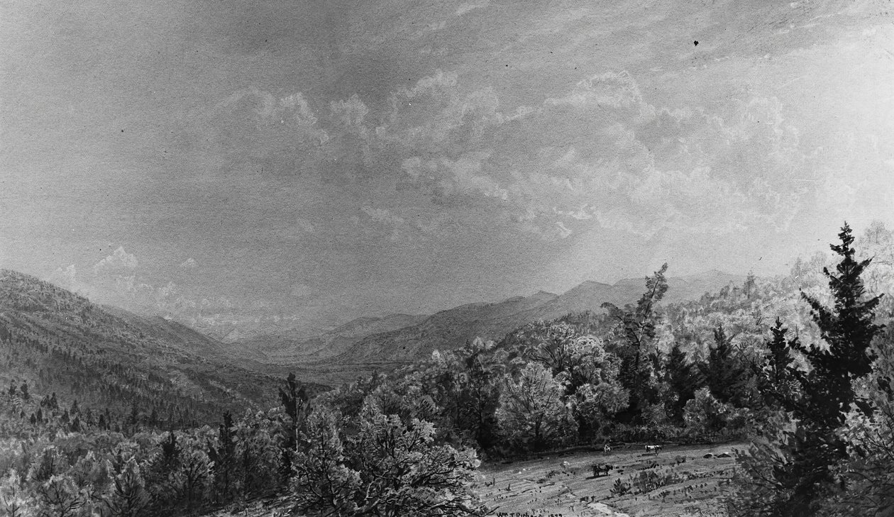 Z Flume House, Frankonia, New Hampshire, 1872. autorstwa William Trost Richards
