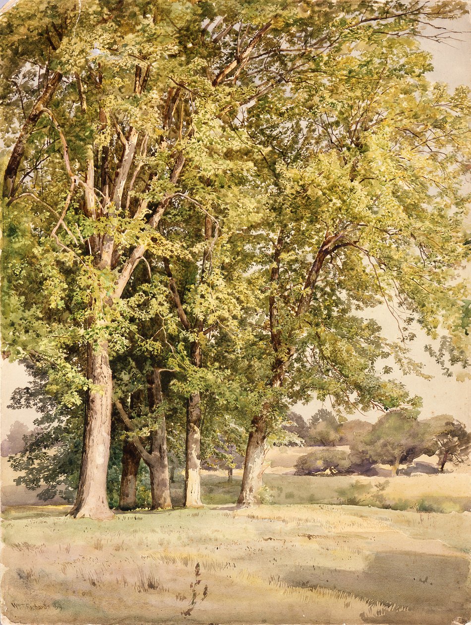 Klony w hrabstwie Chester, Pensylwania autorstwa William Trost Richards