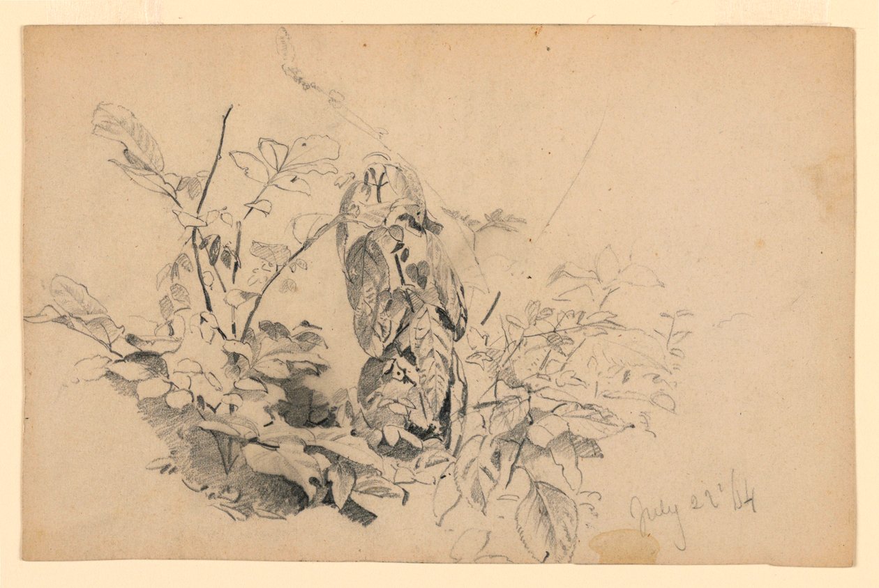Badanie liści autorstwa William Trost Richards
