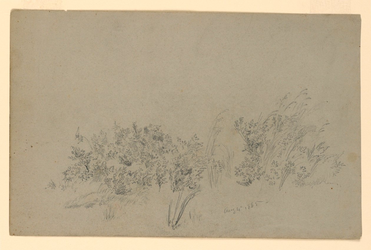 Badanie liści autorstwa William Trost Richards