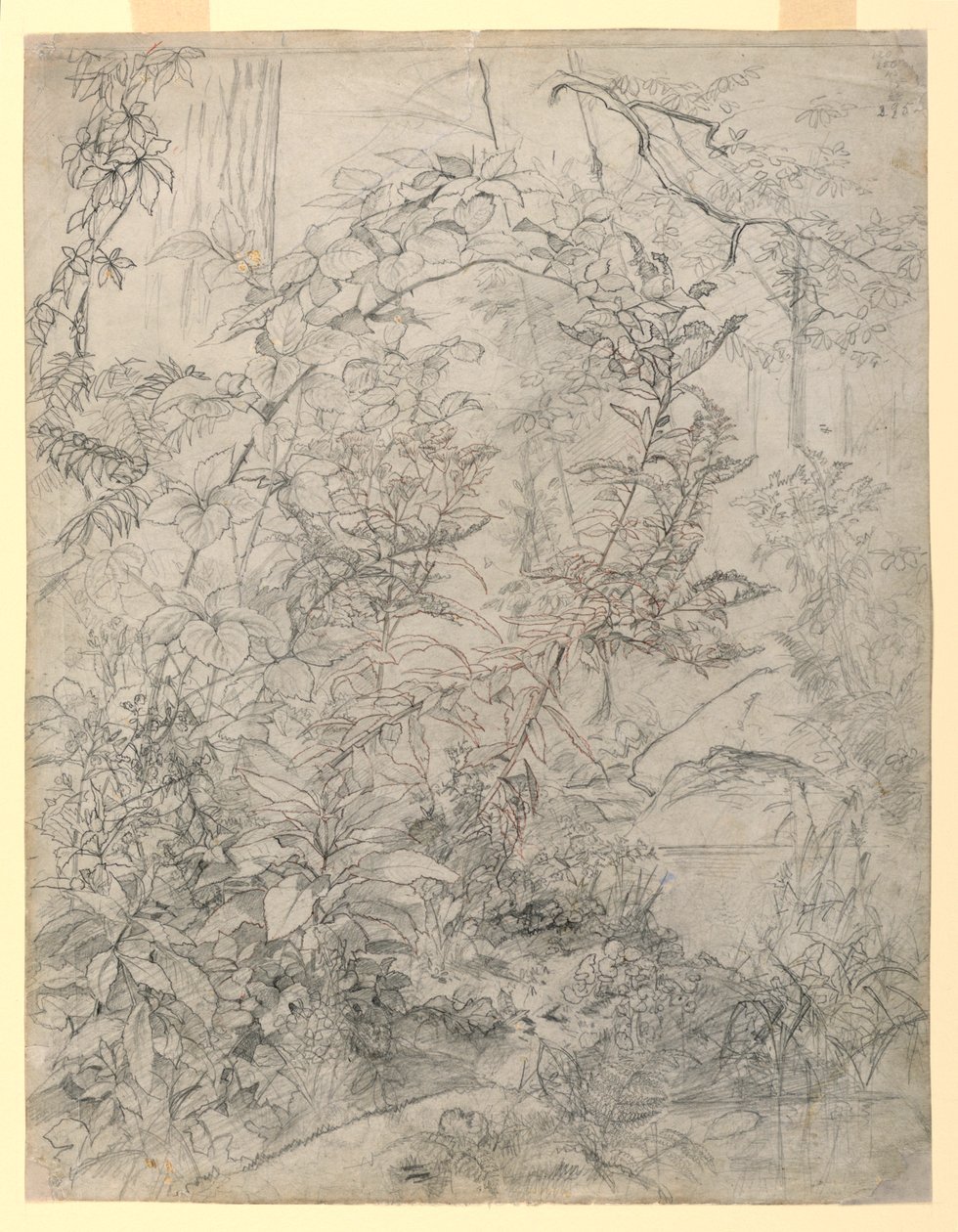 Badanie liści autorstwa William Trost Richards