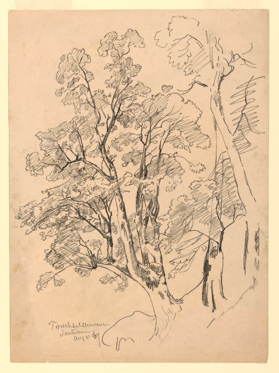 Badanie listowia, Trachselwald, Berno, Szwajcaria autorstwa William Trost Richards