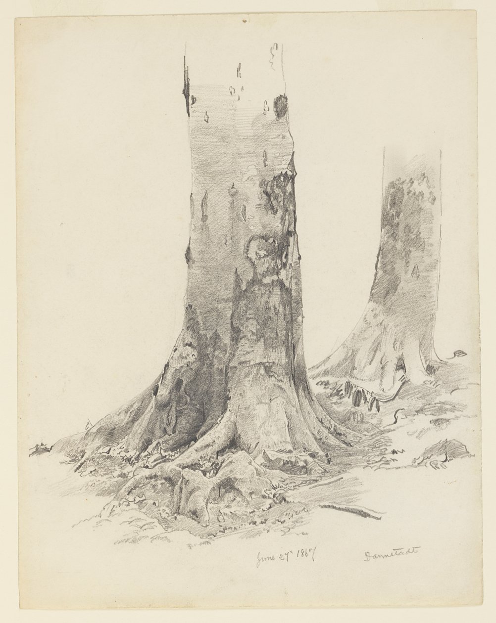 Pnie Drzew, Darmstadt autorstwa William Trost Richards