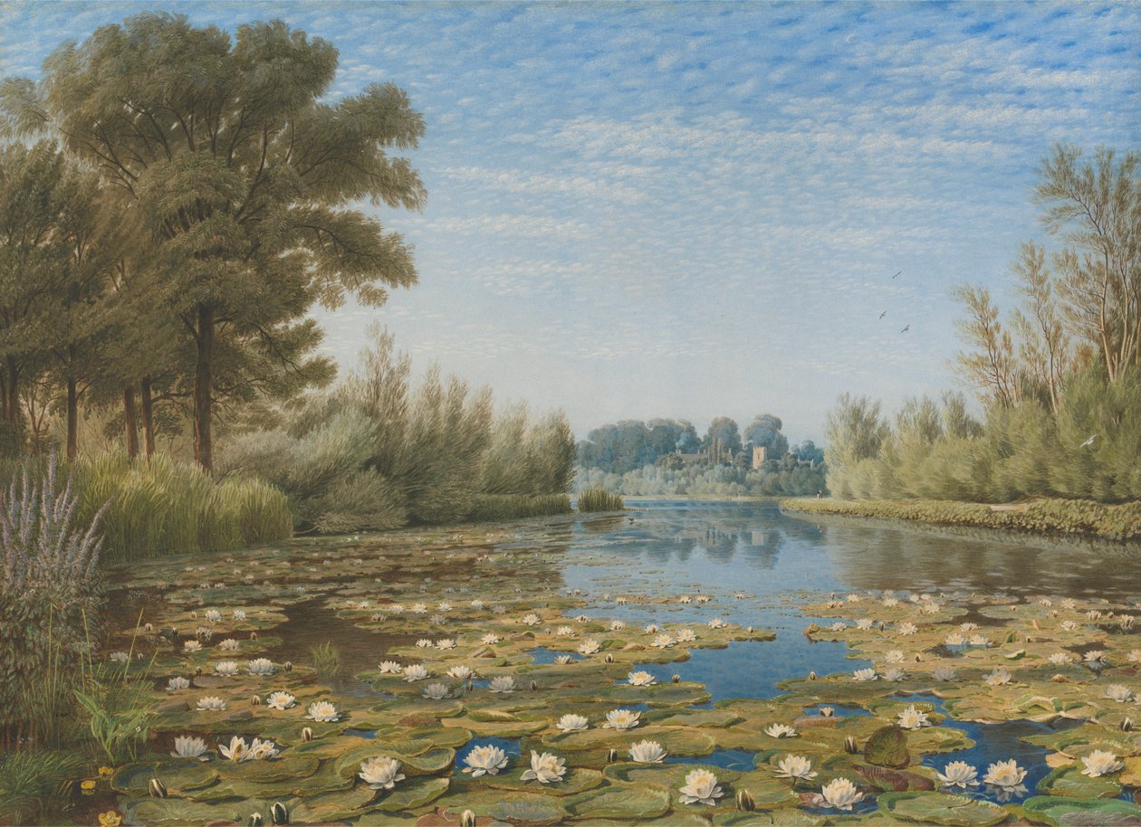 polish autorstwa William Turner of Oxford