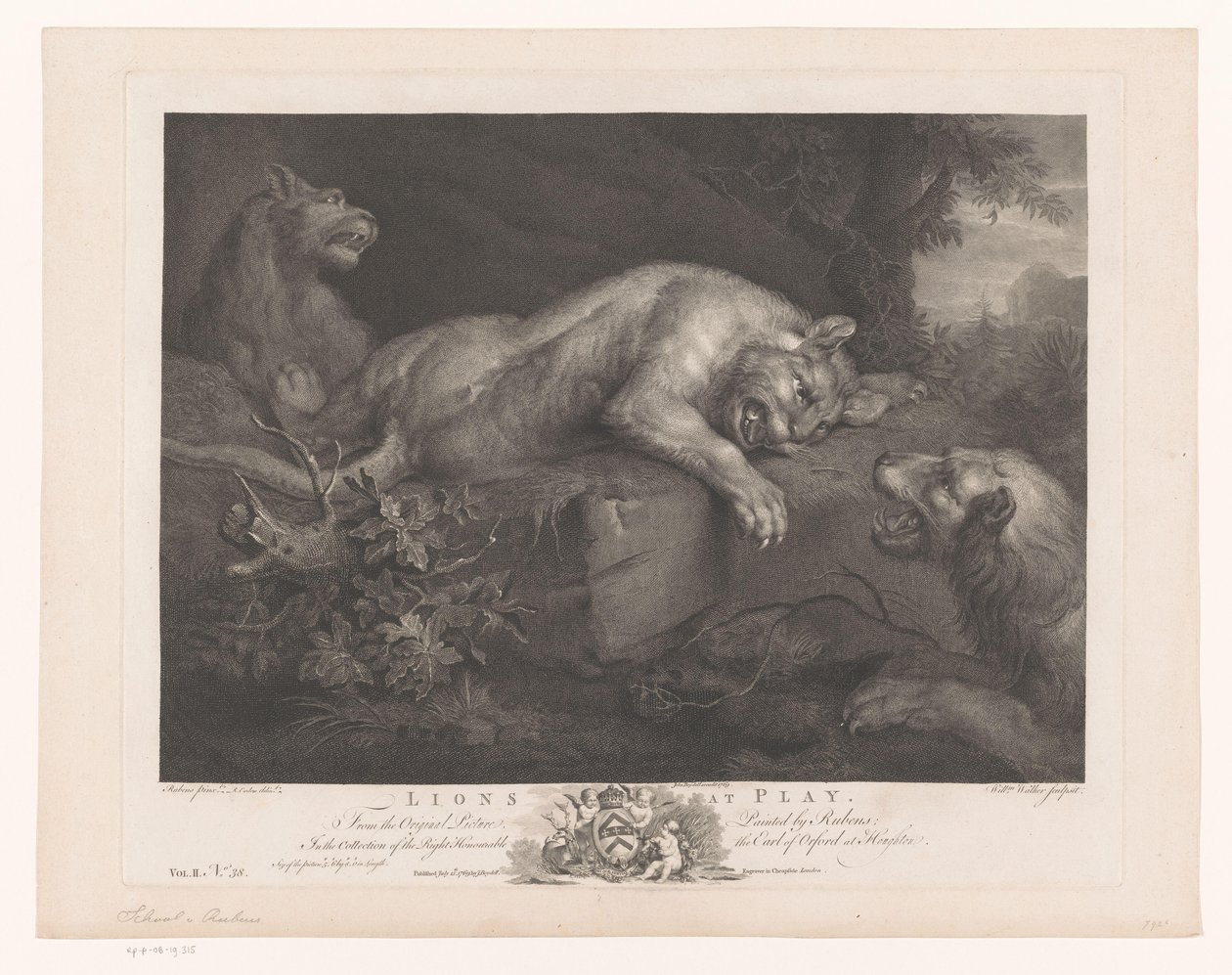 Drie spelende leeuwen Lwy w zabawie (tytuł na obiekcie) Schilderijen uit The Houghton Gallery (tytuł serii) Galeria Houghton (tytuł serii) autorstwa William Walker