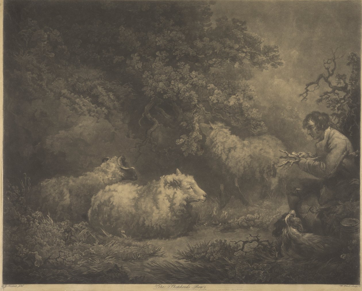 Pasterz autorstwa William Ward