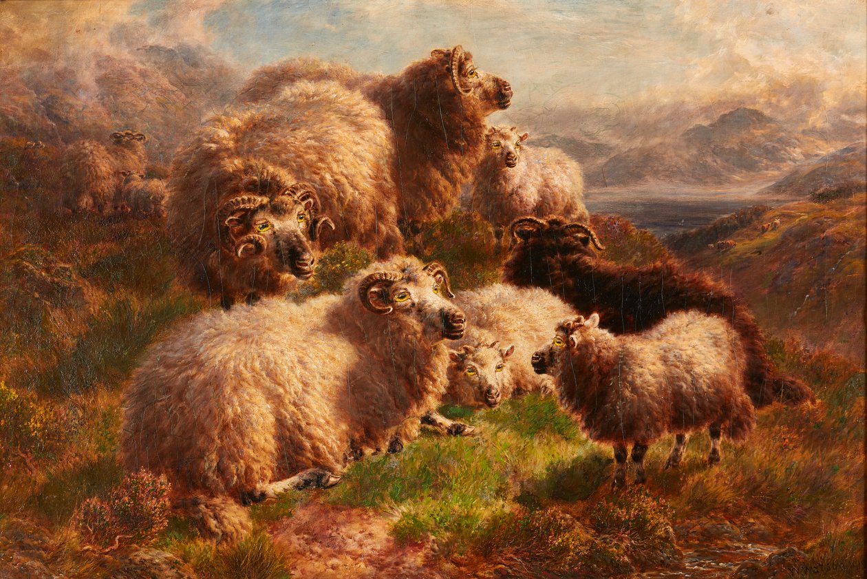 Wieczór na wzgórzach, Loch Tay, Perthshire (olej na płótnie) autorstwa William Watson