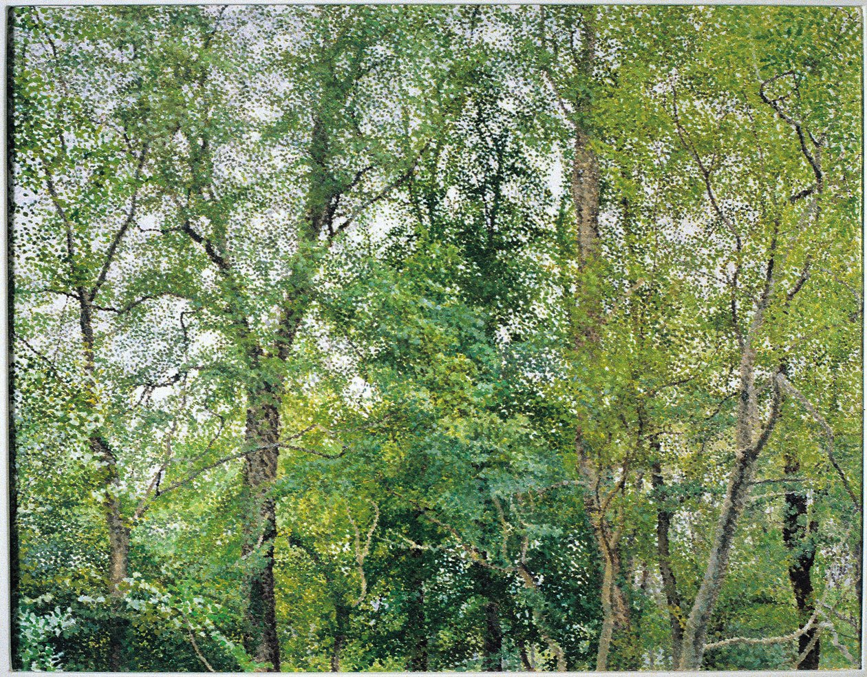 Jubileuszowa Plantacja autorstwa William Wilkins