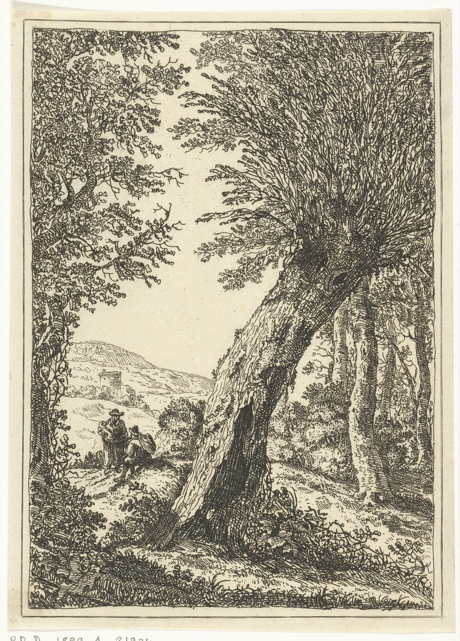 Wierzba autorstwa William Young Ottley