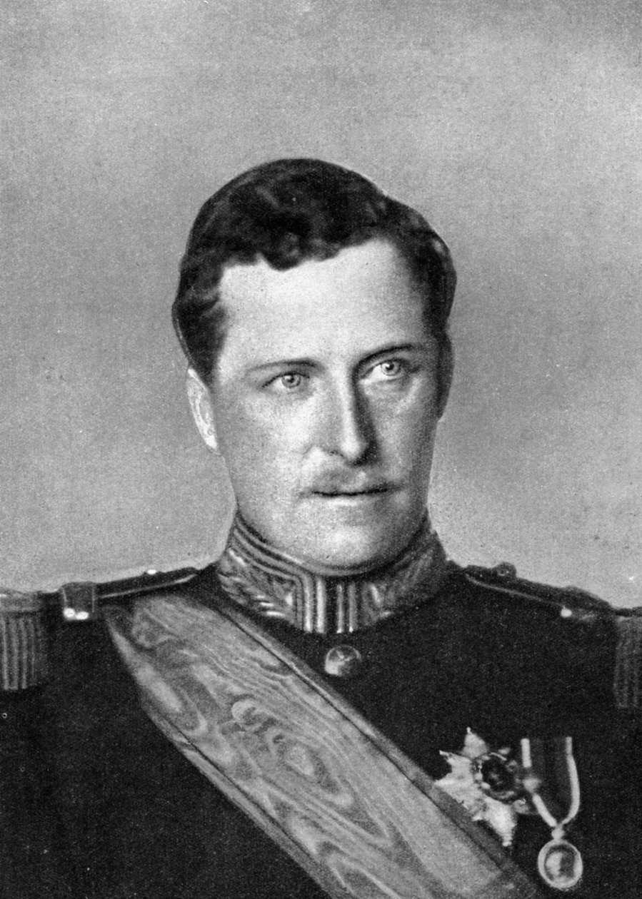Albert, król Belgii, I wojna światowa, 1914. autorstwa William and Daniel Downey