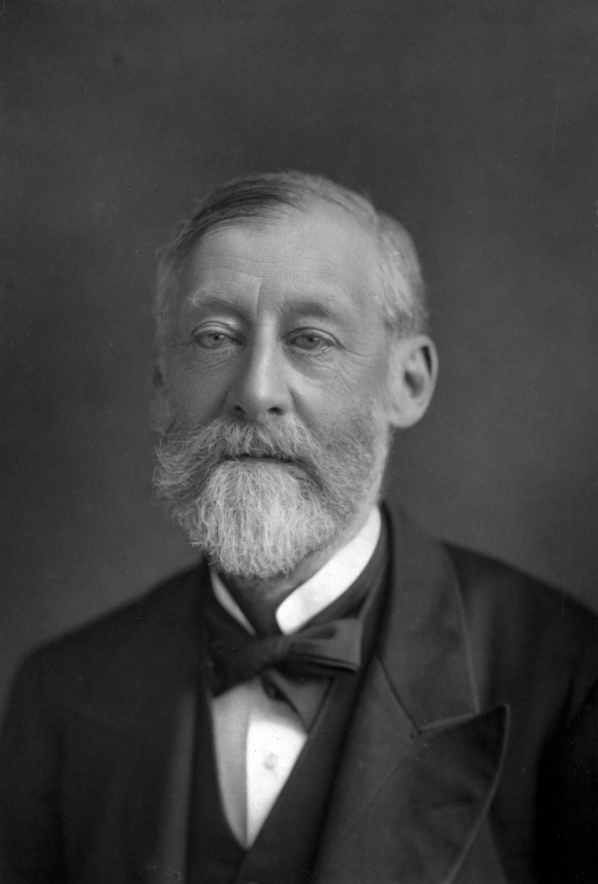 Sir Henry Frederick Ponsonby 1825-1895, 1890. autorstwa William and Daniel Downey