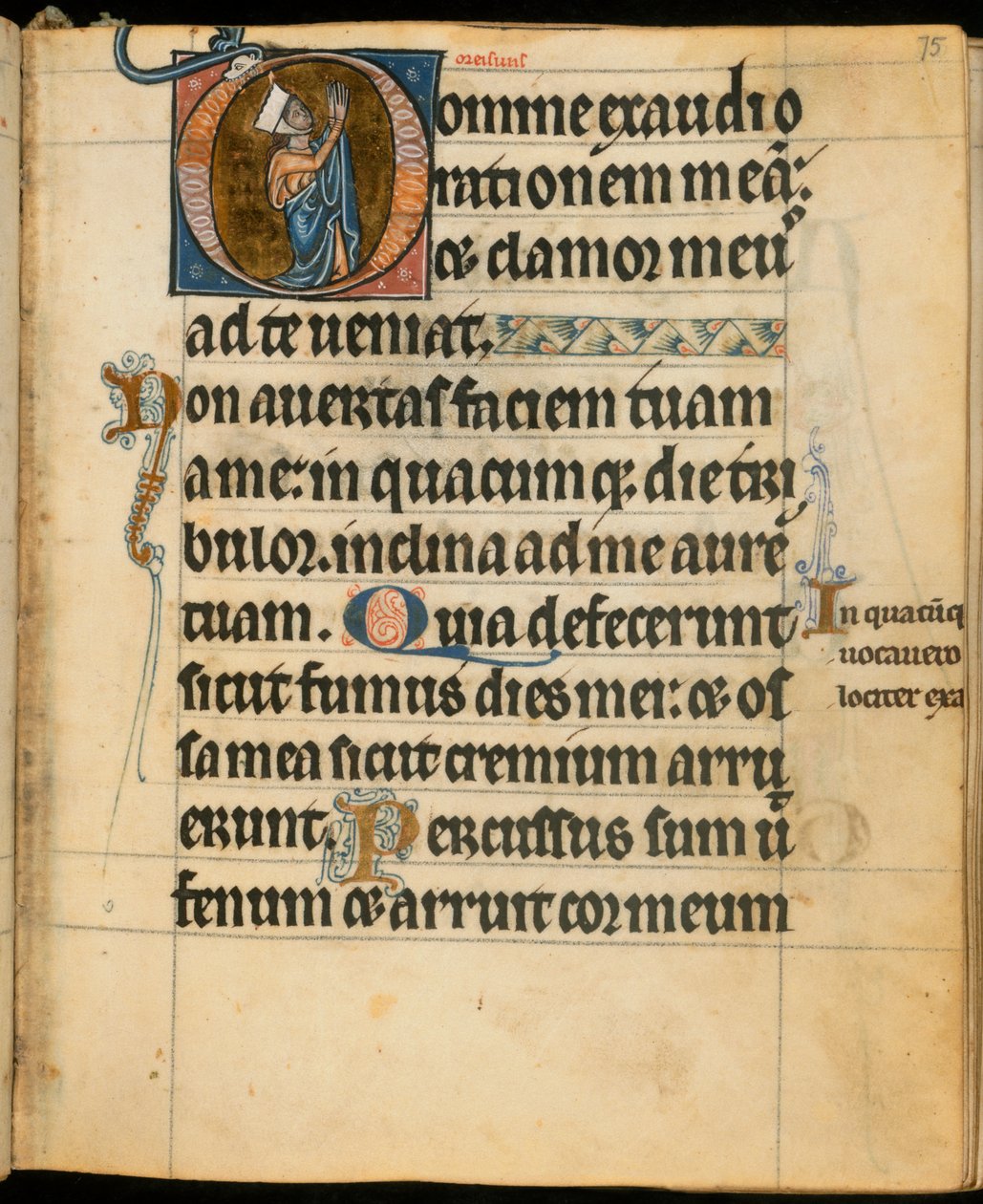 Dodać. 49999, f.75 Inicjał „D” przedstawiający kobietę na modlitwie, ilustracja z „Godziny De Brailesa”, c.1240 (welum) autorstwa William de Brailes