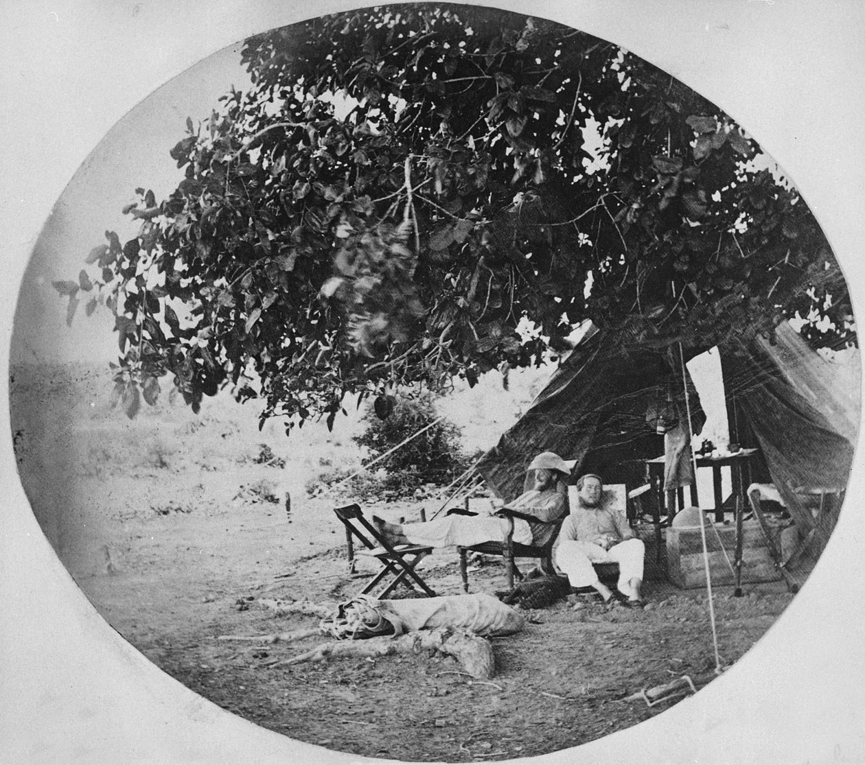 Upalny dzień w indyjskiej dżungli, ok. 1860 r. autorstwa Willoughby Wallace Hooper