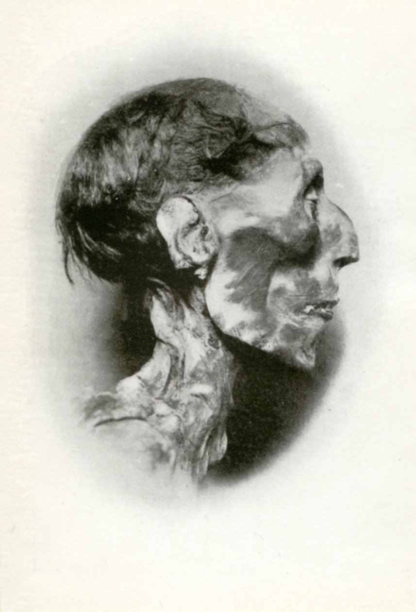 Głowa mumii Ramzesa II, starożytnego egipskiego faraona z XIX dynastii, ok. 1212 r. p.n.e. 1926. autorstwa Winifred Mabel Brunton