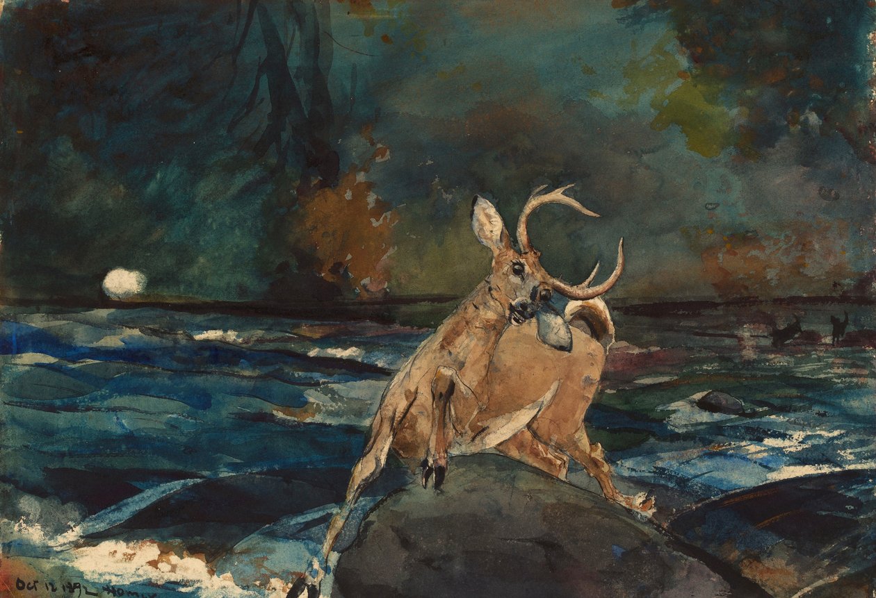 Dobry strzał, Adirondacks autorstwa Winslow Homer
