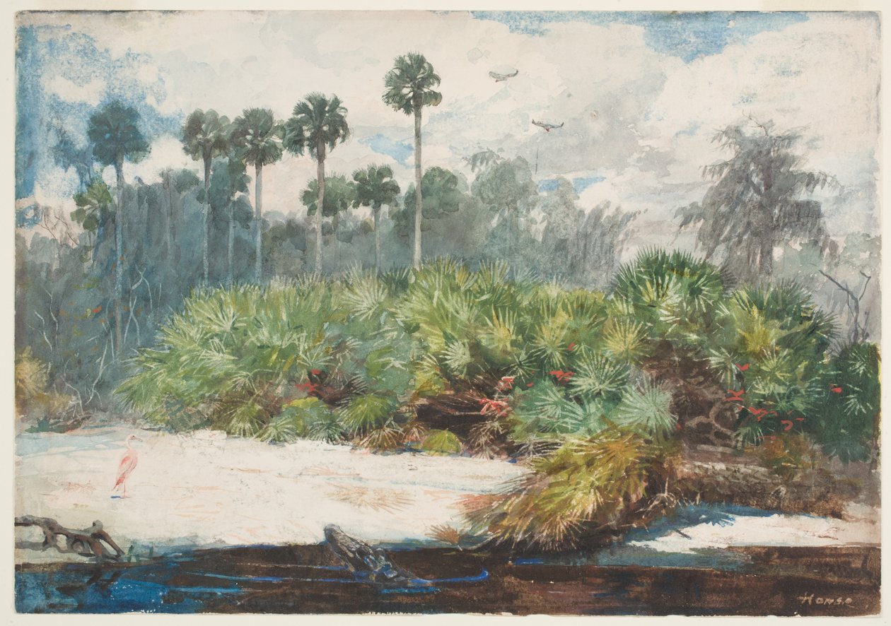 W dżungli na Florydzie (wc nad grafitem na papierze) autorstwa Winslow Homer