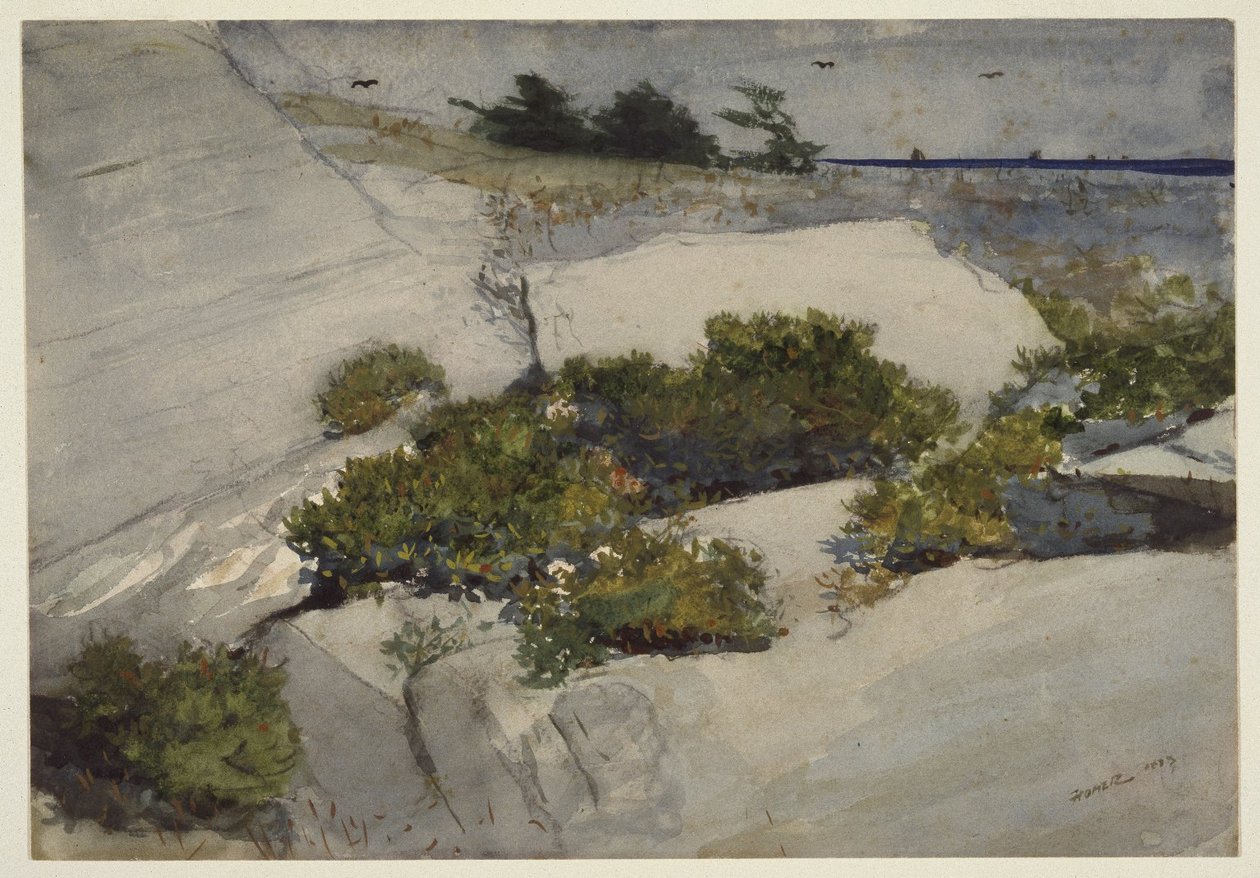Klify Maine autorstwa Winslow Homer
