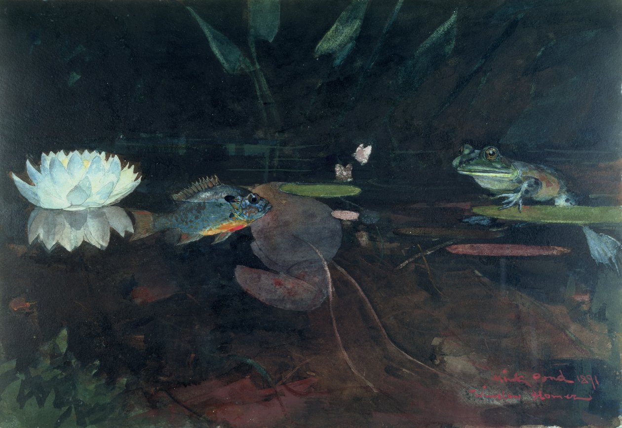 Mink Pond, 1891 (wc nad grafitem na papierze) autorstwa Winslow Homer