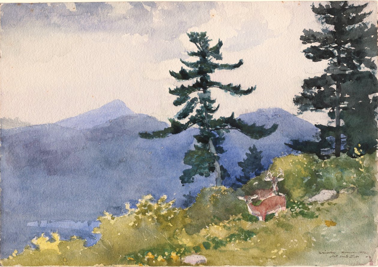 North Woods Club, Adirondacks autorstwa Winslow Homer