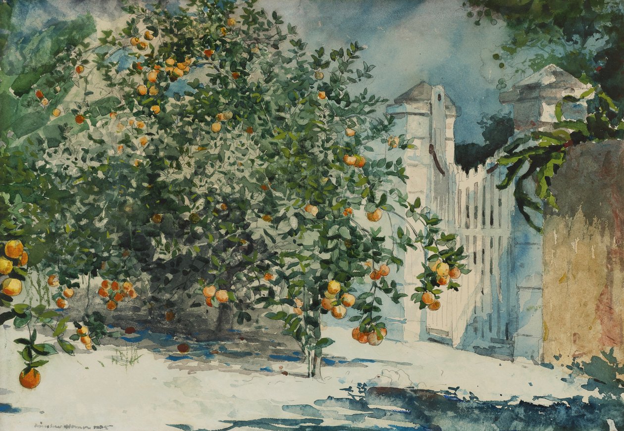 Drzewa pomarańczowe i brama autorstwa Winslow Homer