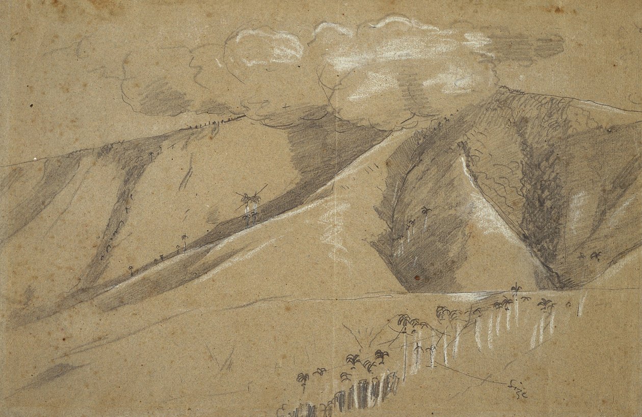 Królewskie Palmy, Santiago de Cuba autorstwa Winslow Homer