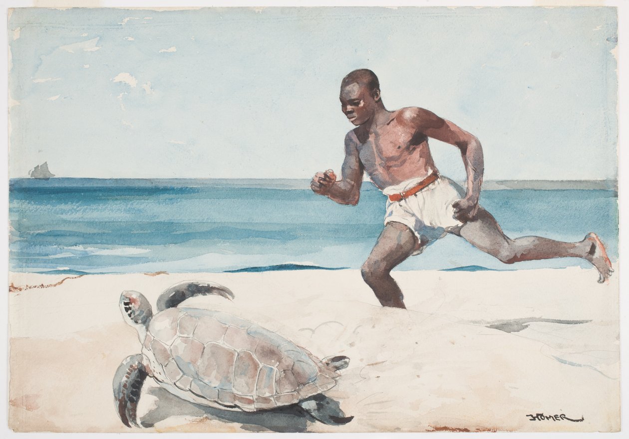 Rum Cay (wc nad grafitem na papierze) autorstwa Winslow Homer
