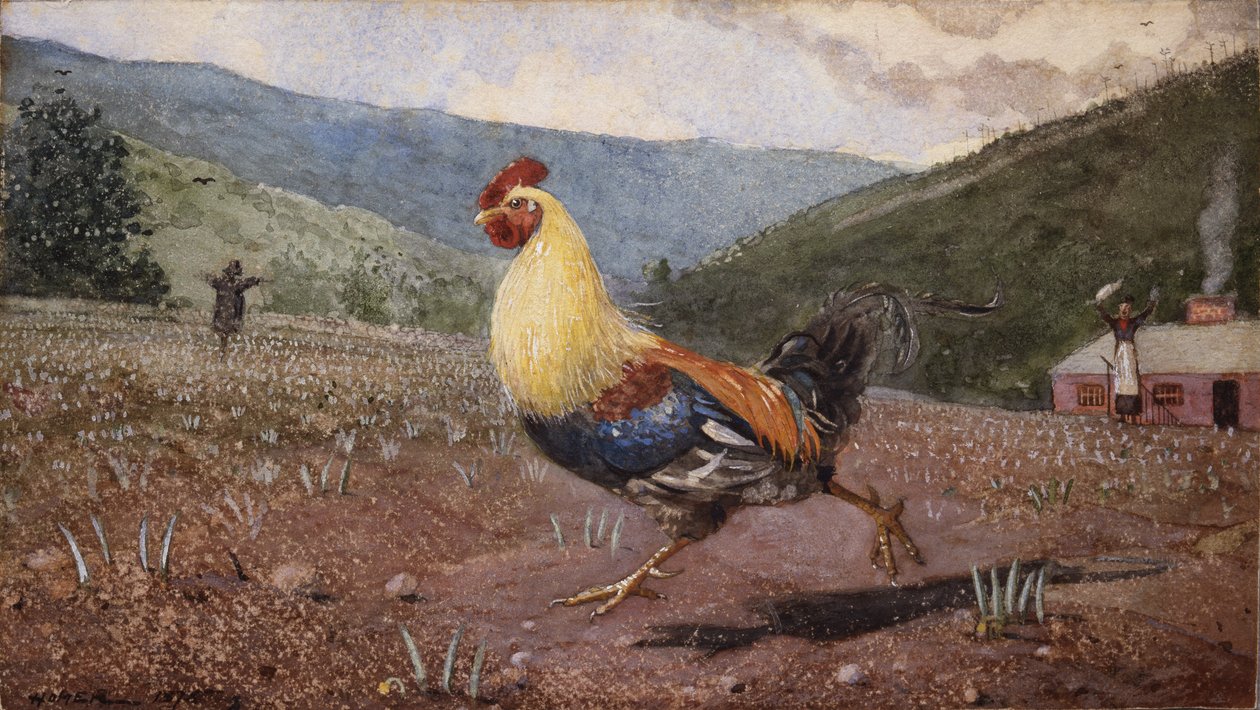Kogut, 1876 autorstwa Winslow Homer