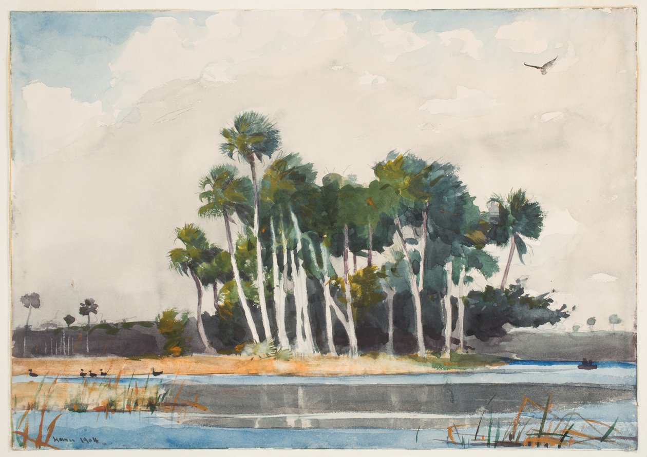 Myszołów indyk (wc nad grafitem na papierze) autorstwa Winslow Homer