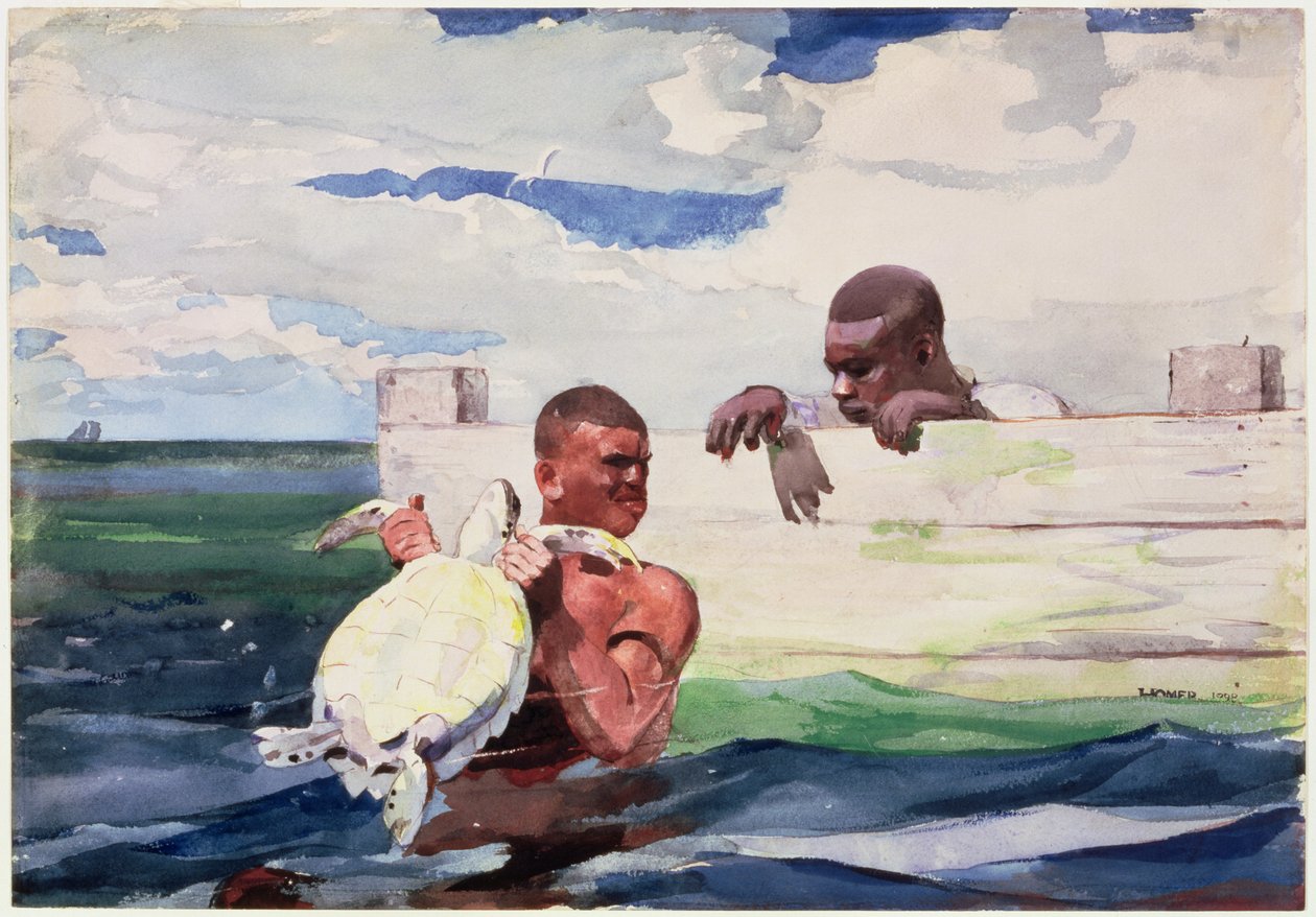 Funt żółwia, 1898 (wc nad ołówkiem na papierze) autorstwa Winslow Homer