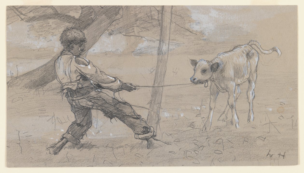 Niesforny Cielę, ok. 1875-76 (grafit i chińska biel na szarym papierze tkanym) autorstwa Winslow Homer