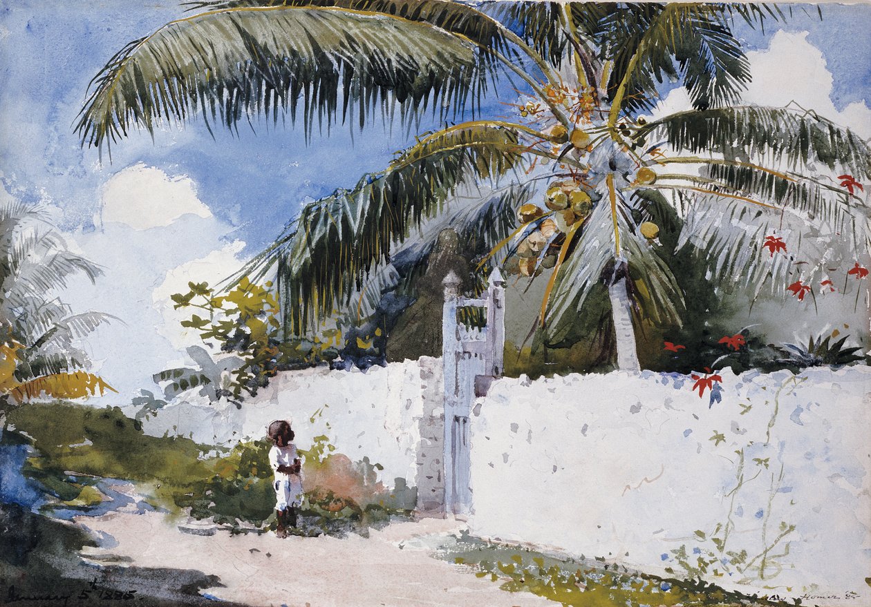 Ogród w Nassau, 1885 autorstwa Winslow Homer
