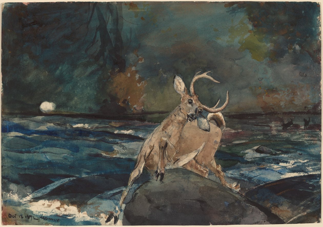 Dobry strzał, Adirondacks autorstwa Winslow Homer