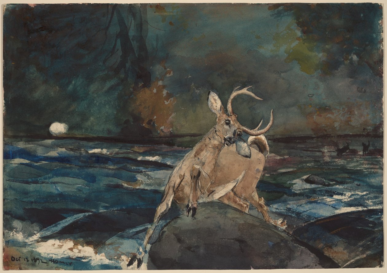 Dobry strzał, Adirondack autorstwa Winslow Homer