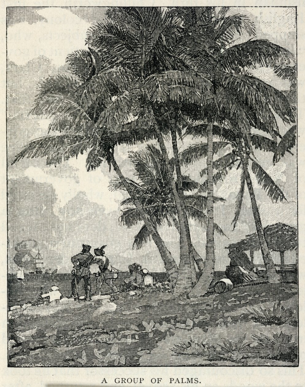 Grupa palm, z The Century Magazine, luty 1887 r. autorstwa Winslow Homer