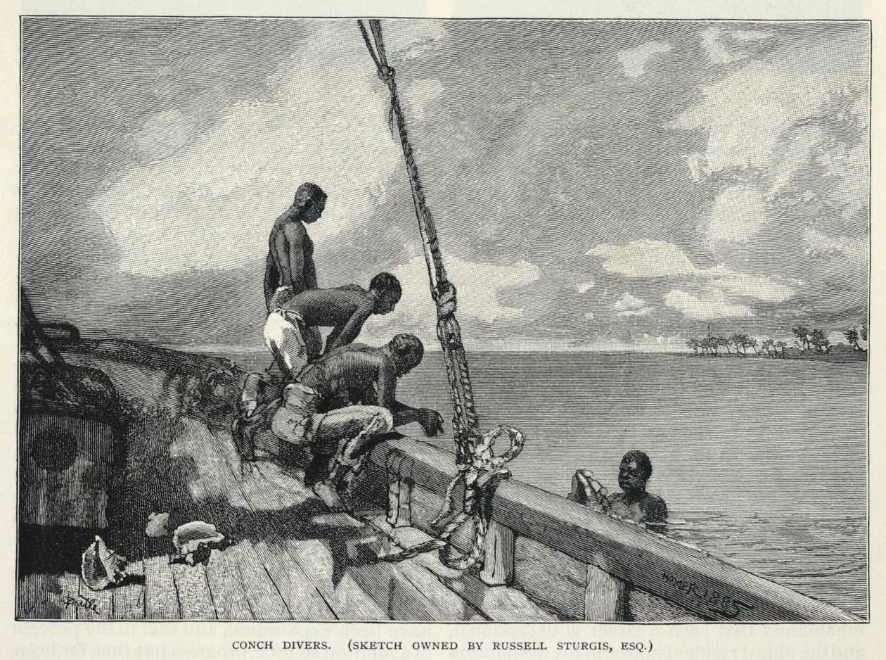 Huragan, uprawa konopi na wyspie Abaco, sprzedawca kwiatów, nurkowie, z The Century Magazine, luty 1887 r. autorstwa Winslow Homer